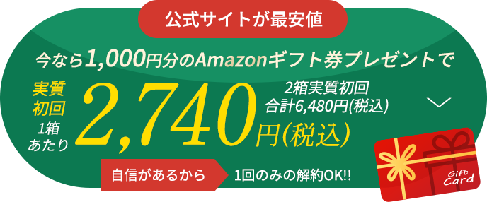 今なら1000円分のamazonギフト券プレゼントで実質初回税込み2740円 2箱実質初回合計税込6480円 自身があるから、1回のみの解約OK