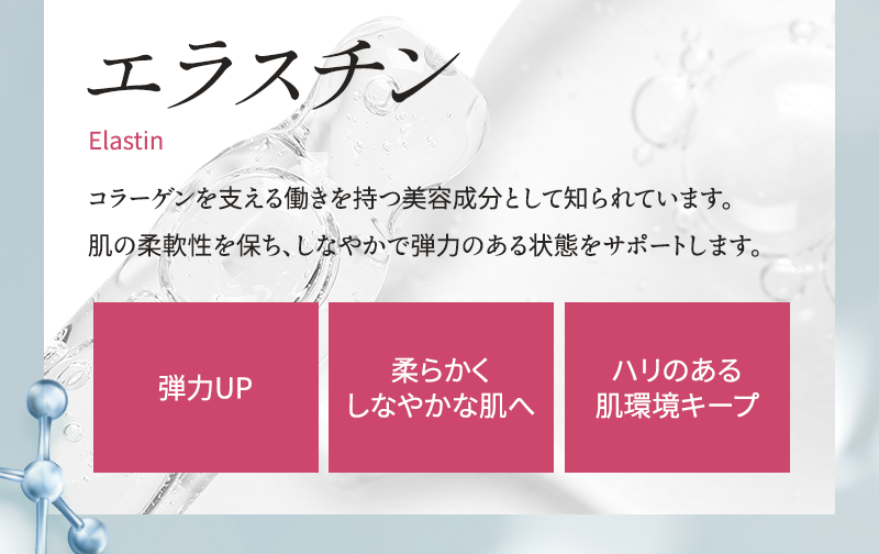 エラスチン コラーゲンを支える働きを持つ美容成分として知られています 肌の柔軟性を保ち、しなやかで弾力のある状態をサポートします 弾力UP 柔らかくしなやかな肌へ ハリのある肌環境キープ
