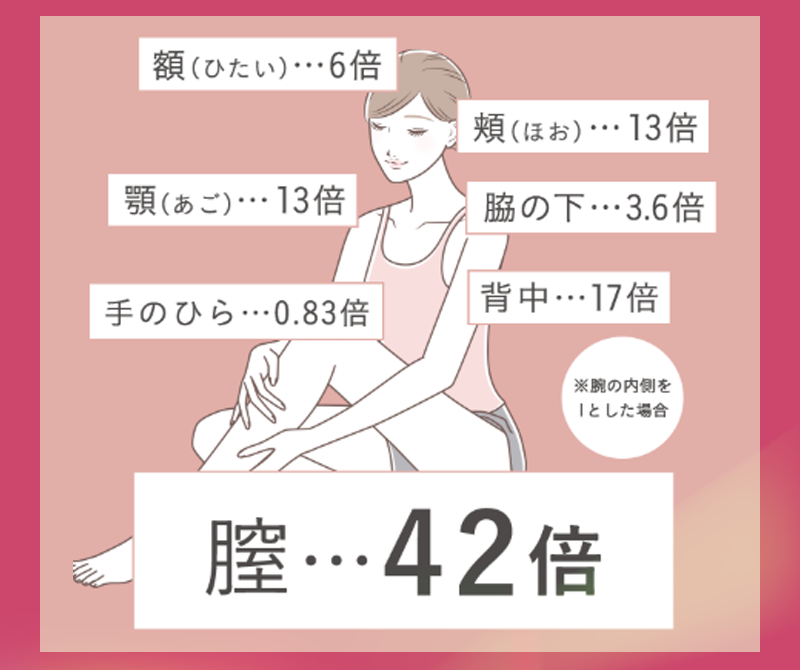 額6倍、頬13倍、顎13倍、脇の下3.6倍、手のひら0.83倍、背中17倍、膣42倍
