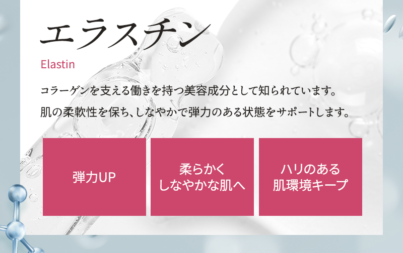 エラスチン コラーゲンを支える働きを持つ美容成分として知られています 肌の柔軟性を保ち、しなやかで弾力のある状態をサポートします 弾力UP 柔らかくしなやかな肌へ ハリのある肌環境キープ